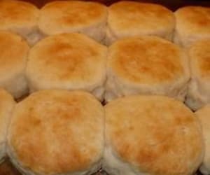 Angel-Biscuit-Rolls