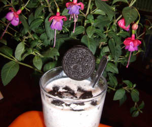 Apple-and-Oreo-Quick-Shake