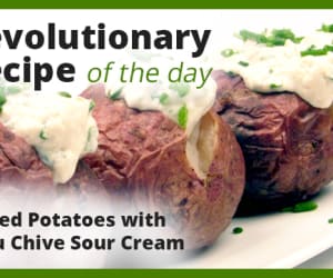 Baked-Potatoes-with-Tofu-Chive-Sour-Cream