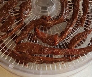 Deer-Jerky