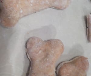 Dog-Biscuit-Recipes