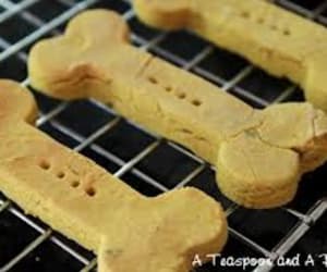 Dog-Biscuits