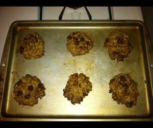 Guilt-Free-Chocolate-Chip-Oatmeal-Cookies