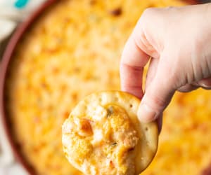 Hot-Cajun-Shrimp-Dip-Recipe