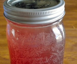 How-to-Make-Water-Kefir-Soda