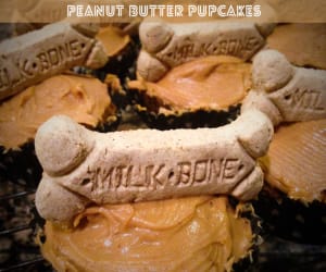 Peanut-Butter-Pupcakes