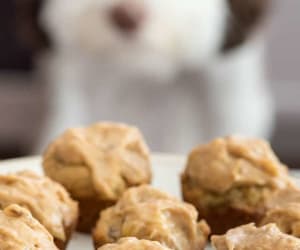 Peanut-Butter-Pupcakes-{Whatever-Friday}