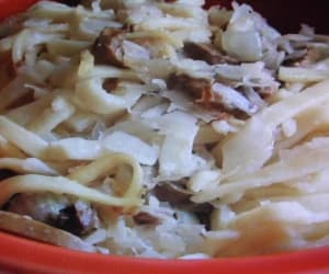 Polish-Noodle-Casserole