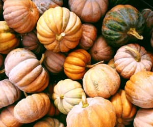 Pumpkin-Fritter-Cake