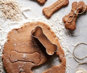 Simple-Dog-Biscuit