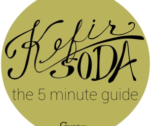 The-5-Minute-Guide-to-Kefir-Soda-(free-printable!)