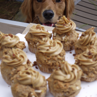 Apple Pupcakes with Peanut Butter Frosting