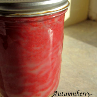Autumnberry-Apple Cider Jam
