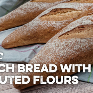 Basic French Bread With Sprouted Flour