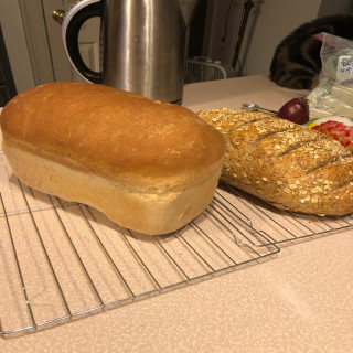 Basic White Bread 