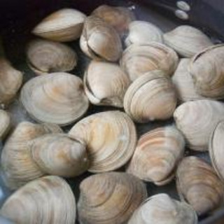 Cleaning Clams