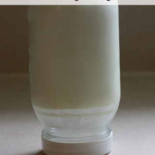 DIY: Homemade Yogurt {thick and creamy}