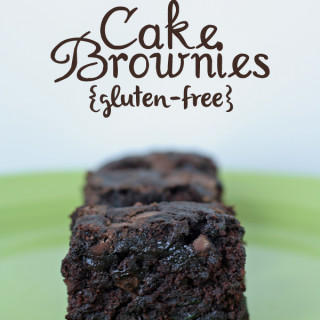 Double Chocolate Zucchini Cake Brownies {Gluten-free, Dairy-free, Egg-free}