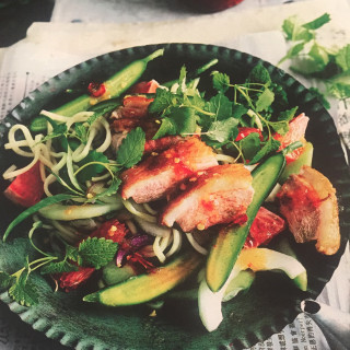 Duck and Cucumber Salad with Chilli Ginger Dressing