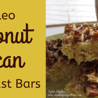 Easy Freezer Recipes: Paleo Coconut Pecan Breakfast Bars