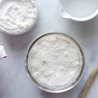 Feeding and Maintaining Your Sourdough Starter
