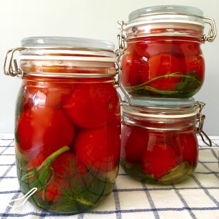 Fermented Pickled Tomatoes (солёные помидоры)