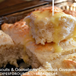 Fizzle Biscuits-Cookbook-Giveaway ENDS 12/13/13