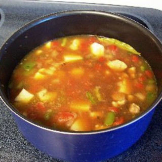 Green Chili Stew (caldillo)