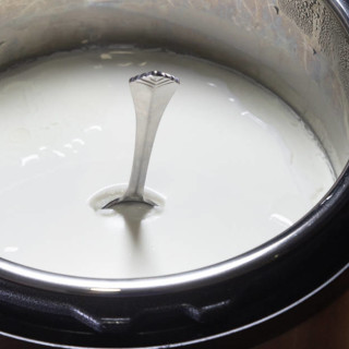 Instant Pot Ultrafiltered Yogurt (Cold Start Method)