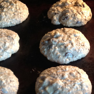 Oatmeal Chocolate Chip Coconut Chewy Cookies