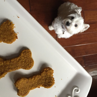 Pumpkin Peanut Butter Oatmeal Dog Biscuits