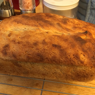 Quick No-Knead Wheat Bread