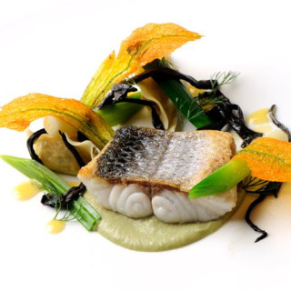 Sea bass with prawn tortellini, fennel purée and white wine sauce