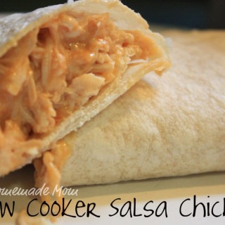 Slow Cooker Taco Salsa Chicken
