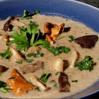 Soup - Cream Of Wild Mushroom