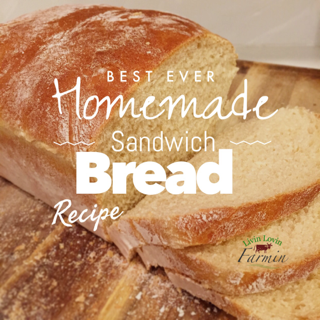 Super Easy Whole Wheat Sandwich Bread