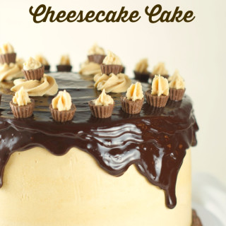 Uncle Johnny's Chocolate Peanut Butter Cheesecake Cake