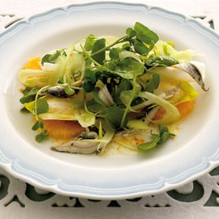 White anchovy, baby fennel and orange salad