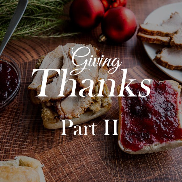 Giving Thanks Part II: Turkey Day Leftovers