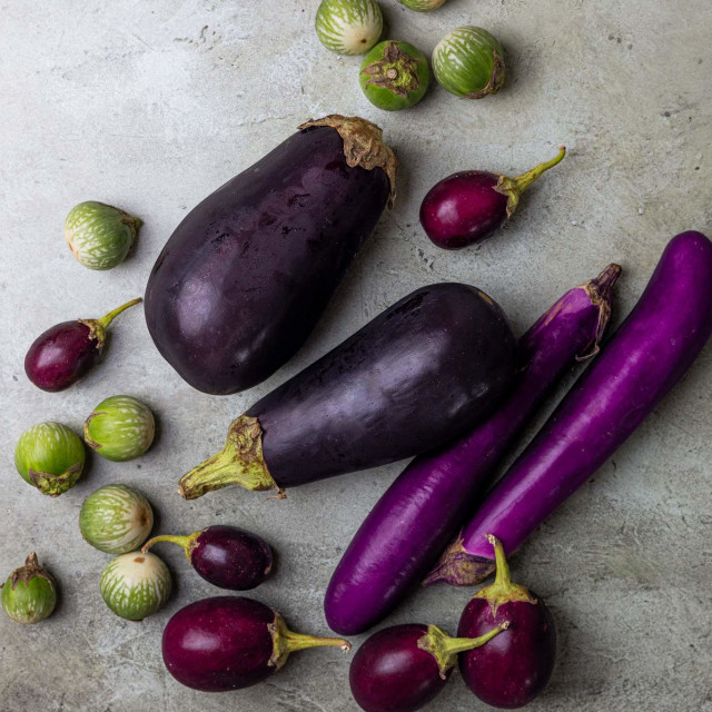 Eggplant: A Brief Guide to The Purple Fruit