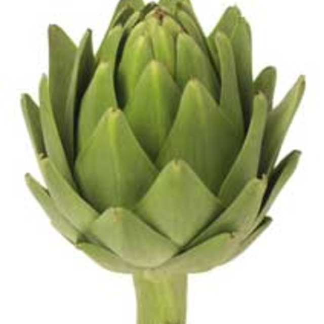 Artichoke Heart BigOven