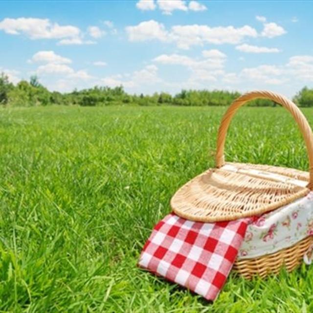 Tips for Planning a Perfect Picnic
