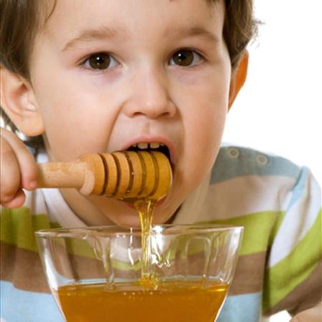 A Kid's Guide to Honey - History, Recipes and More