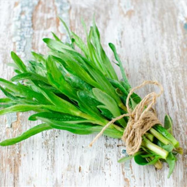 Growing and Cooking with Tarragon