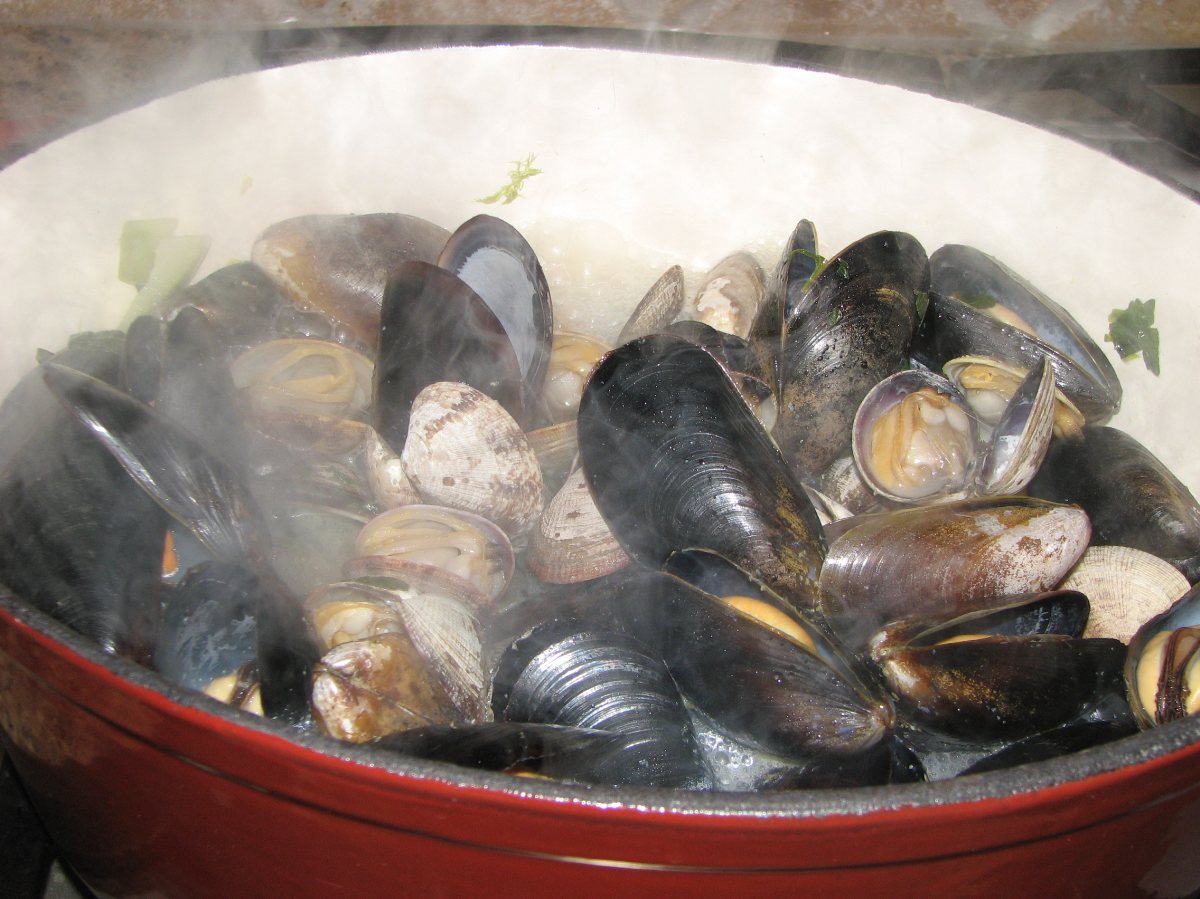 Steamed Mussels and Clams BigOven