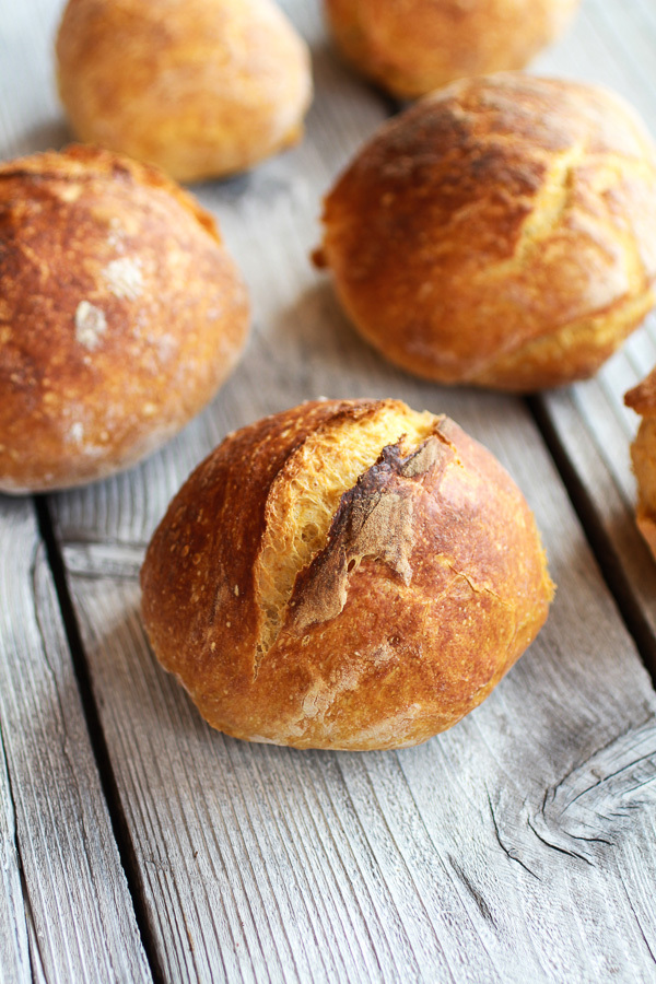 Super Easy Crusty No-Knead Pumpkin Bread Bowls