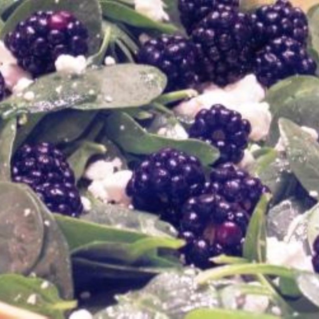 Baby Spinach Blackberries Salad
