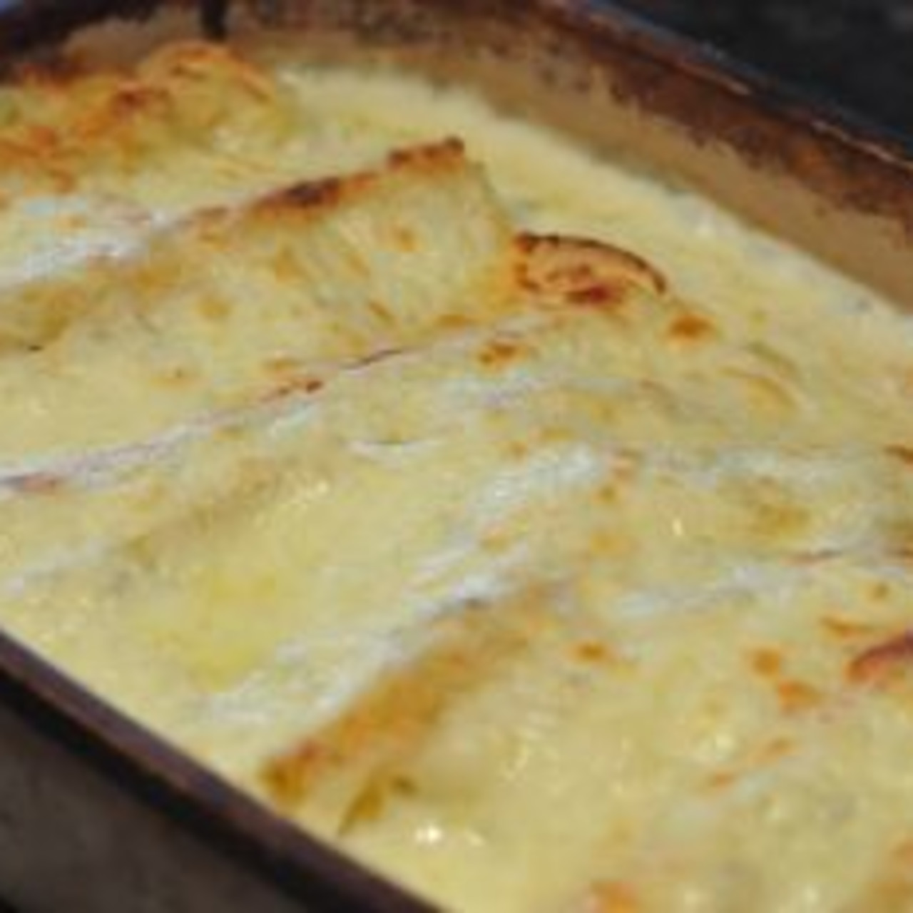 Chicken and Cheese White Enchiladas