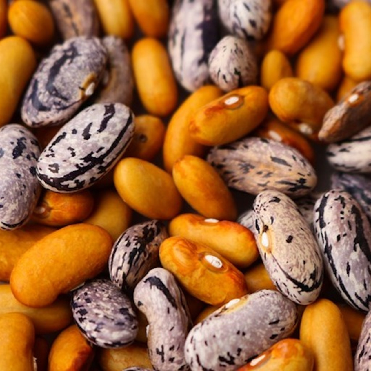 Chili (without Nightshades!)