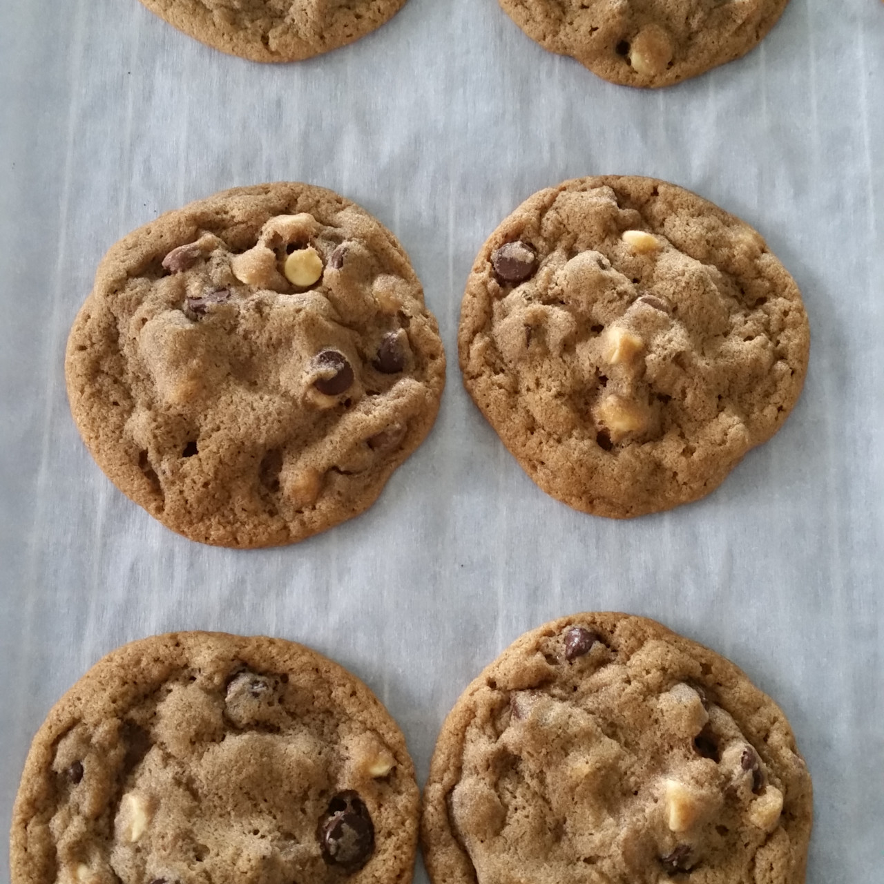Chocolate Malted Cookies chocolate-malted-cookies
